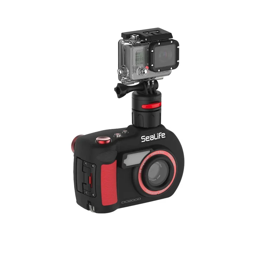 Griffe Flex Connect SEALIFE 2 Griffe Flex Connect SEALIFE â Image 2