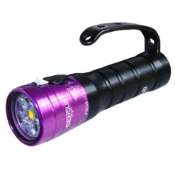 Phare FOCUS EVO AA BERSUB -AQUALUNG || BEUCHAT Soldes Boutique focus evo aa violet 1